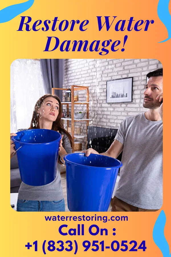 water restoration Hawk Water Repair Contractors Montrose