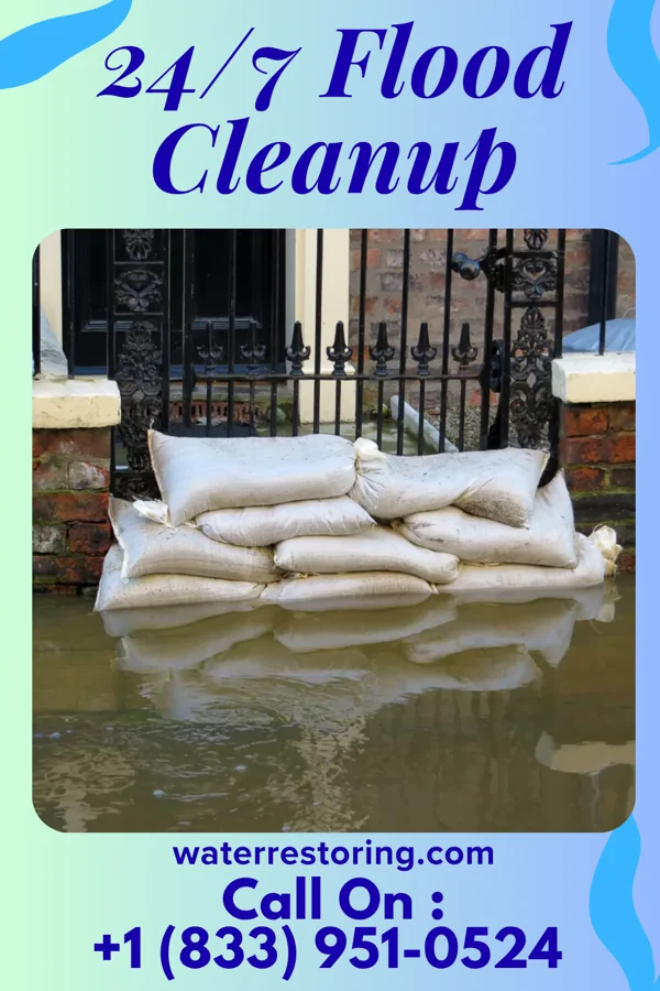 24/7 Flood Cleanup in Montrose, VA