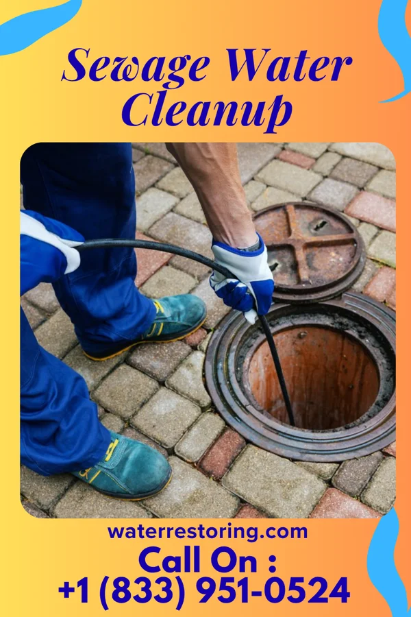 Sewage Water Cleanup in Montrose, VA